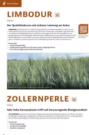 Lagerhaus Flugblatt Seite 14