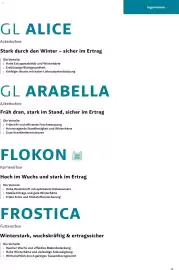 Lagerhaus Flugblatt Seite 15