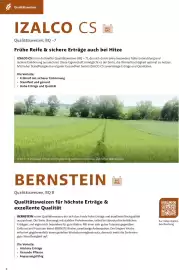Lagerhaus Flugblatt Seite 4
