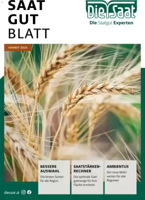 Lagerhaus (gültig bis 31-10)