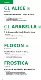 Lagerhaus Flugblatt Seite 10