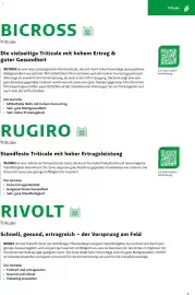 Lagerhaus Flugblatt Seite 5