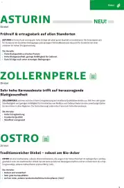 Lagerhaus Flugblatt Seite 9