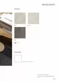 Catálogo Interceramic Página 203