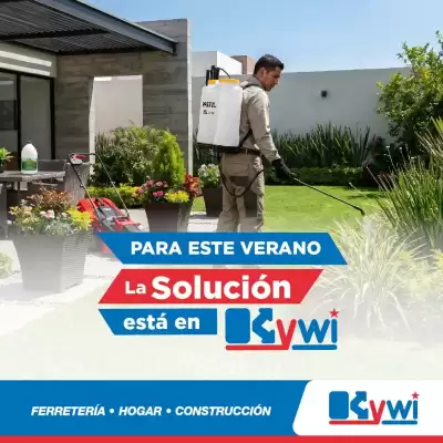 Kywi (válido hasta 31-07)