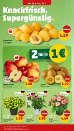 PENNY Prospekt woche 30 Seite 4