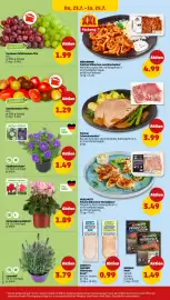 PENNY Prospekt woche 30 Seite 34