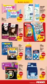 PENNY Prospekt woche 30 Seite 39