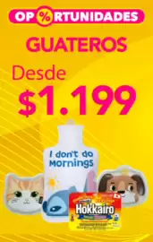 Catálogo Salcobrand Página 1