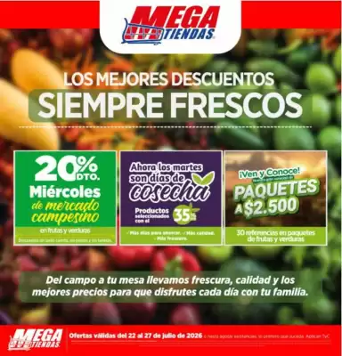 MegaTiendas (válido hasta 28-07)
