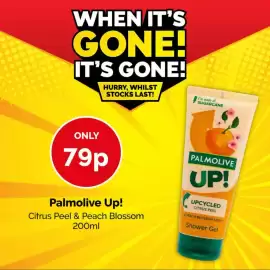 Poundstretcher leaflet Page 2