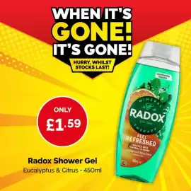 Poundstretcher leaflet Page 3