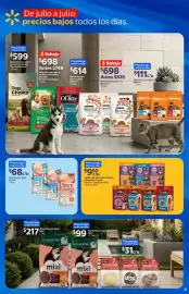 Catálogo Walmart Express Página 21