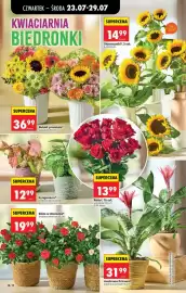 Biedronka gazetka tydzień 30 Strona 18