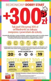 Biedronka gazetka tydzień 30 Strona 19