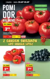 Biedronka gazetka tydzień 30 Strona 22