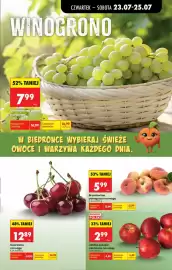 Biedronka gazetka tydzień 30 Strona 23