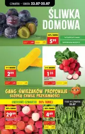 Biedronka gazetka tydzień 30 Strona 24