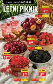 Biedronka gazetka tydzień 30 Strona 66
