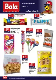 ČEPOS leták Strana 5