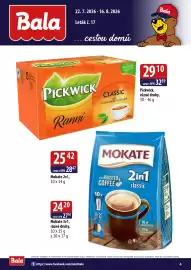 ČEPOS leták Strana 6