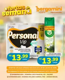 Catálogo Supermercado Bergamini Página 13