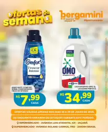Catálogo Supermercado Bergamini Página 14
