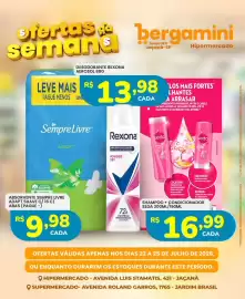Catálogo Supermercado Bergamini Página 15