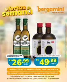 Catálogo Supermercado Bergamini Página 6