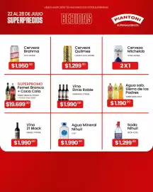 Catálogo Piantoni Supermayorista semana 30 Página 4