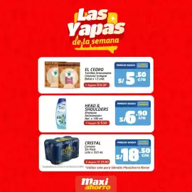 Catálogo MaxiAhorro Página 1
