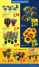 Lidl folder week 31 Pagina 23