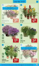 ALDI folder week 31 Pagina 35