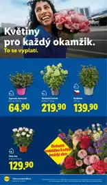 Lidl leták Strana 16