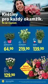 Lidl leták Strana 16
