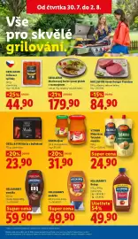 Lidl leták Strana 21