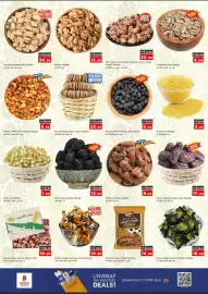 Nesto catalogue Page 10