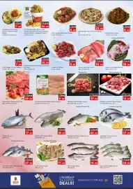 Nesto catalogue Page 14