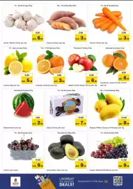 Nesto catalogue Page 2