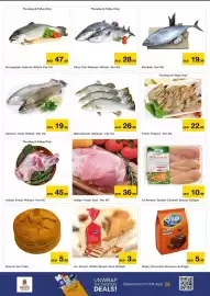 Nesto catalogue Page 8