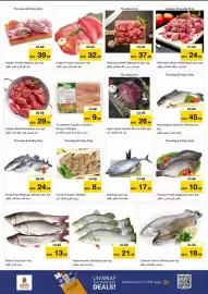 Nesto catalogue Page 13