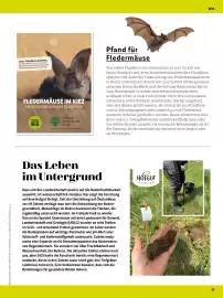Denn's Biomarkt Flugblatt Seite 21