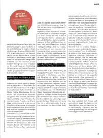 Denn's Biomarkt Flugblatt Seite 31