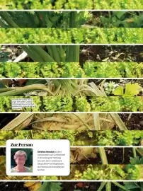 Denn's Biomarkt Flugblatt Seite 34