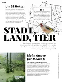 Denn's Biomarkt Flugblatt Seite 36