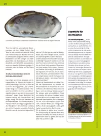 Denn's Biomarkt Flugblatt Seite 40