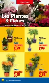Catalogue Lidl semaine 31 page 28