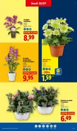 Catalogue Lidl semaine 31 page 29