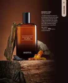 Catalogue Stanhome page 87