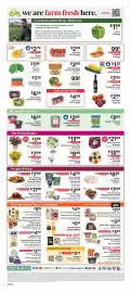 ShopRite flyer week 31 Page 9